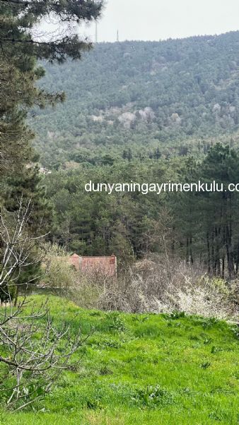 YAKACIK AYDOS'DA 7070 M2 SATILIK ÇİFTLİK