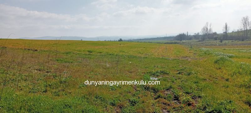 ÇANAKKALE BİGA DOĞANCI KÖYÜNDE 2921M2 SATILIK TARLA