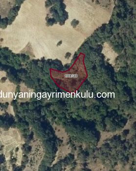 BALIKESİR DURSUNBEY BEYCE'DE SATILIK TARLA