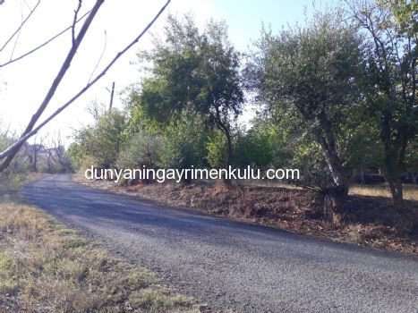 TEKİRDAĞ SARAY SOFULAR'DA 2.5 KAT İMARLI SATILIK ARSA