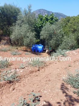 İZYUZU PLAJI YOLU ÜZERİNDE MÜSTAKİL KÖY EVİ