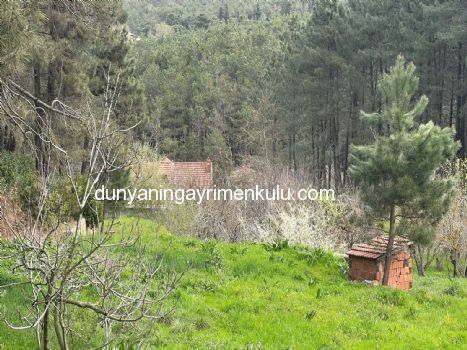 YAKACIK AYDOS'DA 7070 M2 SATILIK ÇİFTLİK