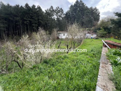 YAKACIK AYDOS'DA 7070 M2 SATILIK ÇİFTLİK