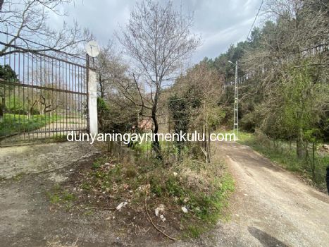 YAKACIK AYDOS'DA 7070 M2 SATILIK ÇİFTLİK