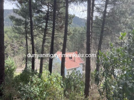 YAKACIK AYDOS'DA 7070 M2 SATILIK ÇİFTLİK