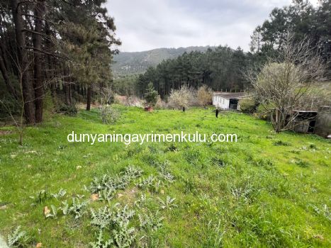 YAKACIK AYDOS'DA 7070 M2 SATILIK ÇİFTLİK