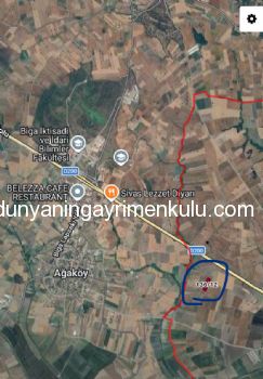 ÇANAKKALE BİGA DOĞANCI KÖYÜNDE 2921M2 SATILIK TARLA
