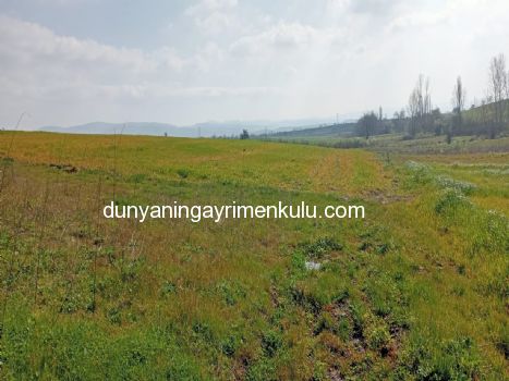 ÇANAKKALE BİGA DOĞANCI KÖYÜNDE 2921M2 SATILIK TARLA