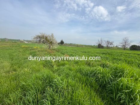 ÇANAKKALE BİGA DOĞANCI KÖYÜNDE 7071M2 SATILIK  TARLA
