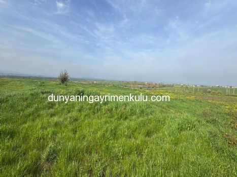 ÇANAKKALE BİGA DOĞANCI KÖYÜNDE 7071M2 SATILIK  TARLA