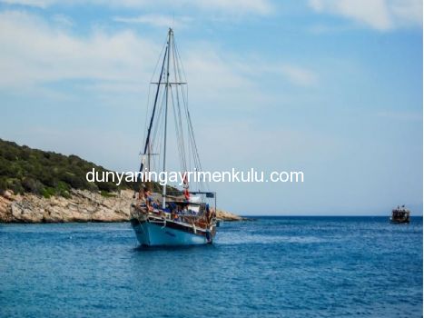 BODRUM GÜMBET'TE DENİZ MANZARALI VE HAVUZLU VİLLA