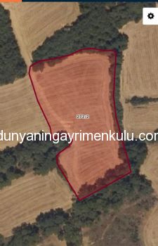 GELİBOLU ADİLHAN'DA YATIRIMLIK 11 DÖNÜM DENİZ MANZARALI TARLA